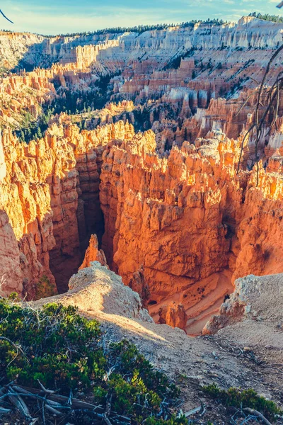 Bryce Canyon Parque Nacional Utah —  Fotos de Stock