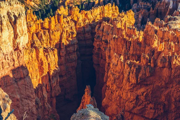 Bryce Canyon Parque Nacional Utah —  Fotos de Stock