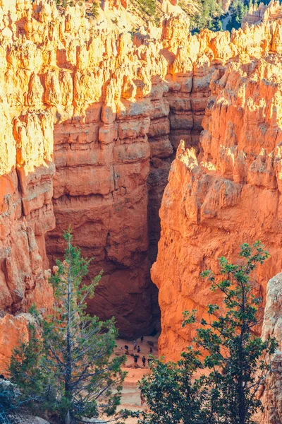 Bryce Canyon Parque Nacional Utah Eua — Fotografia de Stock