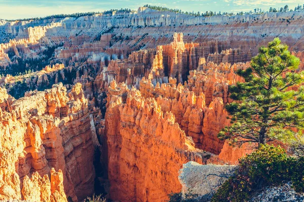Bryce Kanyonu Ulusal Parkı, Utah, ABD