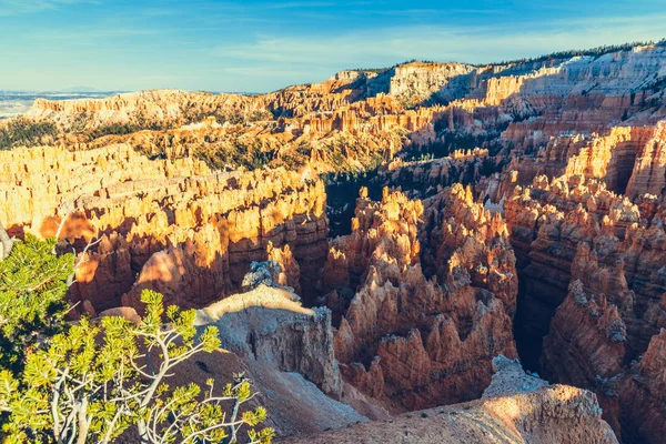 Bryce Kanyonu Ulusal Parkı, Utah, ABD