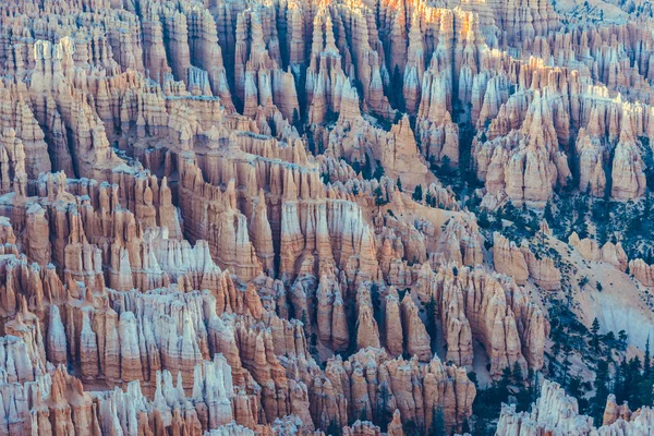 Bryce Canyon Parque Nacional Utah Eua — Fotografia de Stock