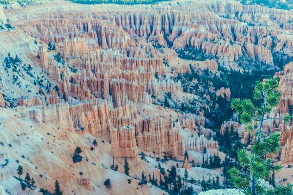 Bryce Canyon Parque Nacional Utah Eua — Fotografia de Stock