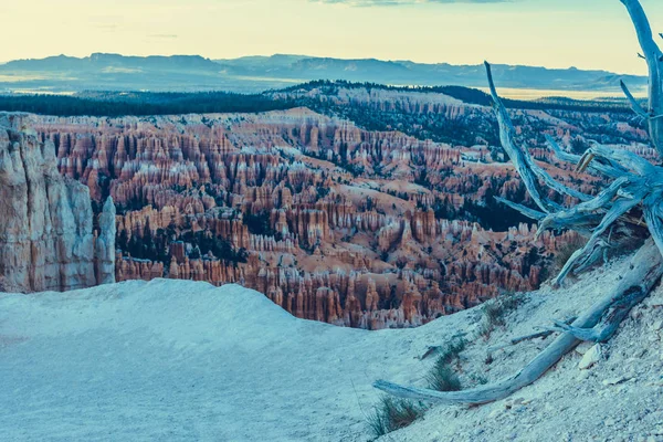 Bryce Canyon Parque Nacional Utah —  Fotos de Stock