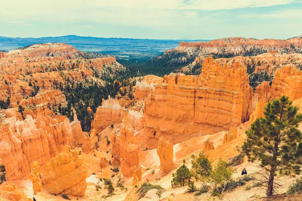 Bryce Canyon Parque Nacional Utah —  Fotos de Stock