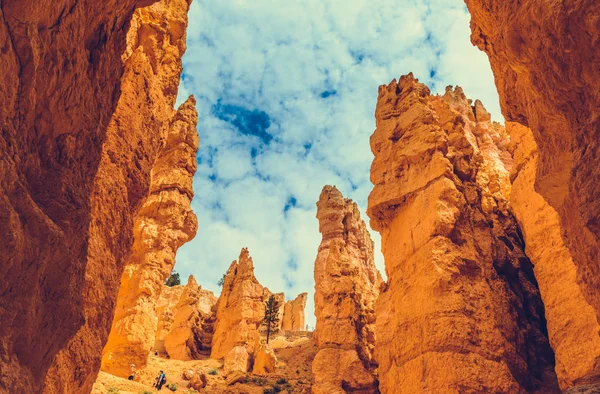 Park Narodowy Bryce Canyon Utah Usa — Zdjęcie stockowe