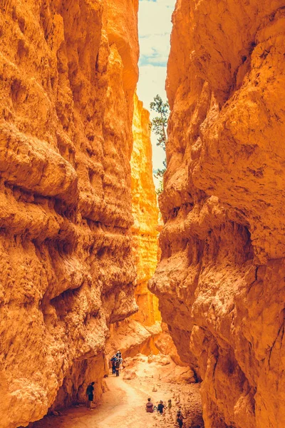 Park Narodowy Bryce Canyon Utah Usa — Zdjęcie stockowe