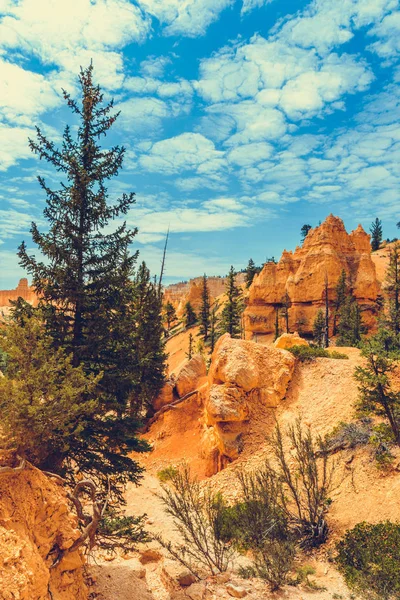 Bryce Kanyonu Ulusal Parkı, Utah, ABD