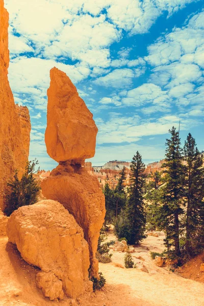 Bryce Canyon Nationalpark Utah Usa — Stockfoto