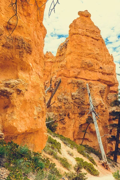 Bryce Canyon Nationalpark Utah Usa — Stockfoto