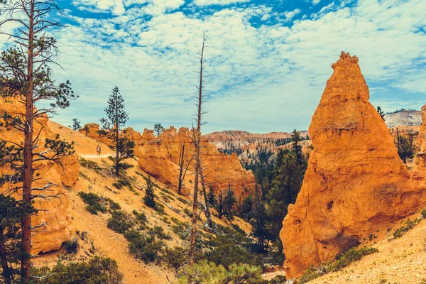 Bryce Kanyonu Ulusal Parkı, Utah, ABD