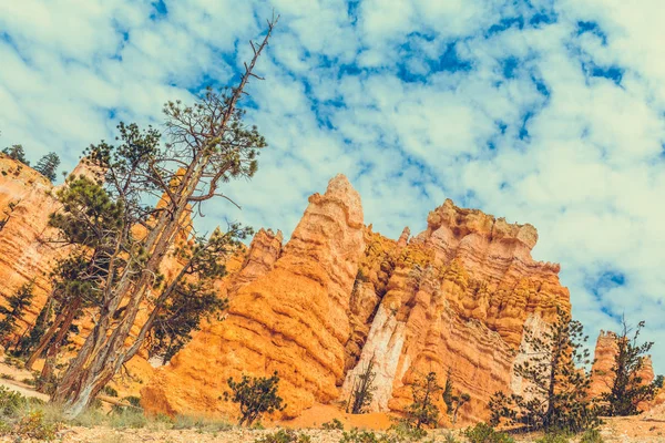 Bryce Canyon Parco Nazionale Utah Usa — Foto Stock