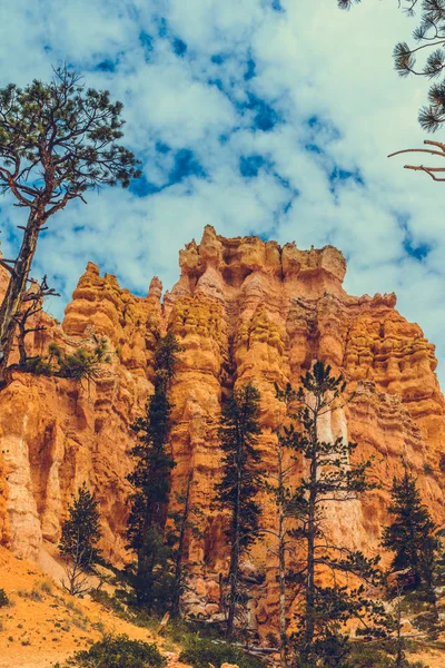 Bryce Kanyonu Ulusal Parkı, Utah, ABD