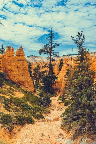 Bryce Kanyonu Ulusal Parkı, Utah, ABD