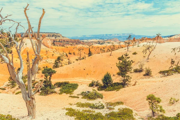 Bryce Canyon Parque Nacional Utah — Foto de Stock