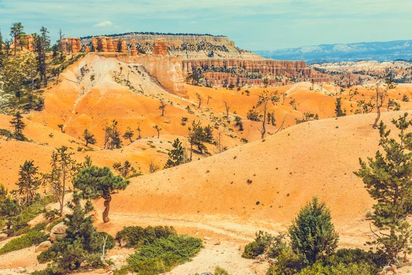 Bryce Canyon Parque Nacional Utah —  Fotos de Stock