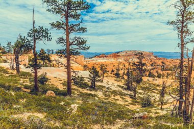 Bryce Kanyonu Ulusal Parkı, Utah, ABD