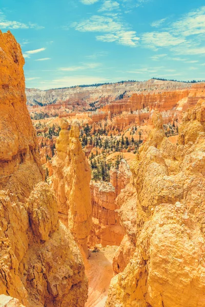 Bryce Canyon Parque Nacional Utah —  Fotos de Stock