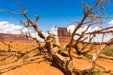 Arizona ve Utah sınırındaki Anıt Vadisi, ABD