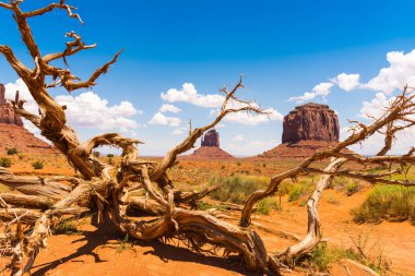 Arizona ve Utah sınırındaki Anıt Vadisi, ABD