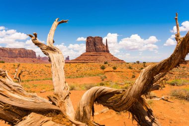 Arizona ve Utah sınırındaki Anıt Vadisi, ABD