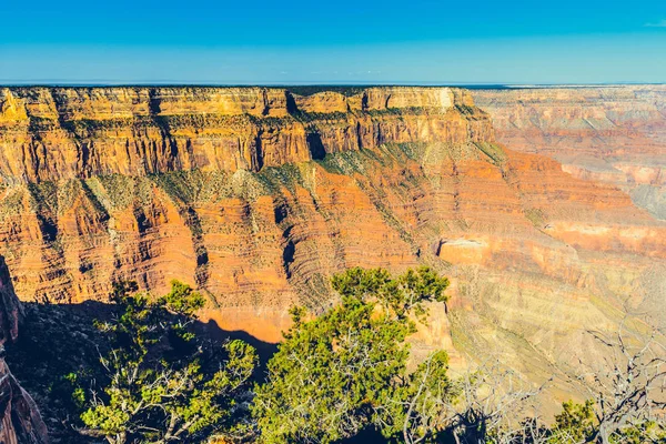 Vue Grand Canyon Arizona États Unis — Photo