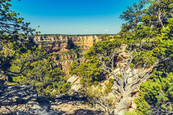 Wielki Kanion Arizona Usa — Zdjęcie stockowe