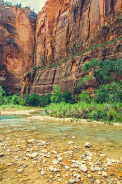 Zion Ulusal Parkı, Utah, ABD