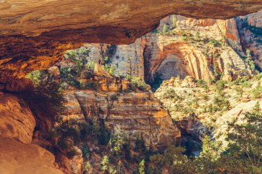 Zion Ulusal Parkı, Utah, ABD
