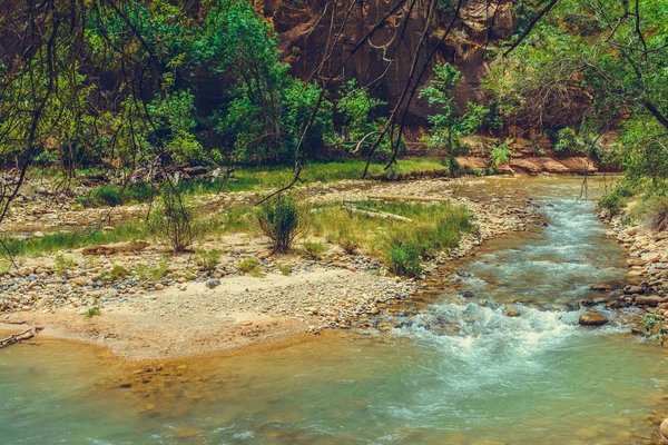 Zion National Park Utah Usa — Stock Photo, Image