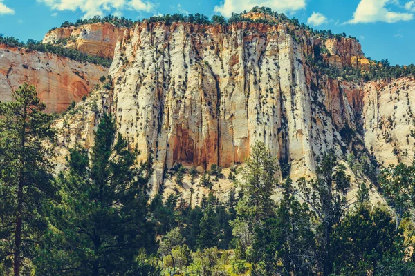 Zion Parque Nacional Utah Eua — Fotografia de Stock