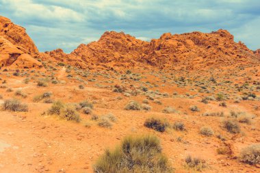 Fire State Park Vadisi, Nevada, ABD