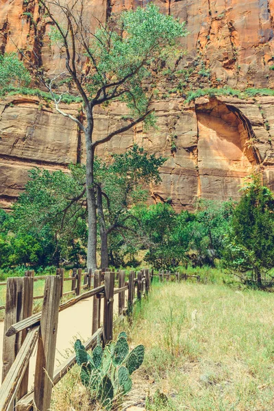 Zion Parque Nacional Utah Eua — Fotografia de Stock