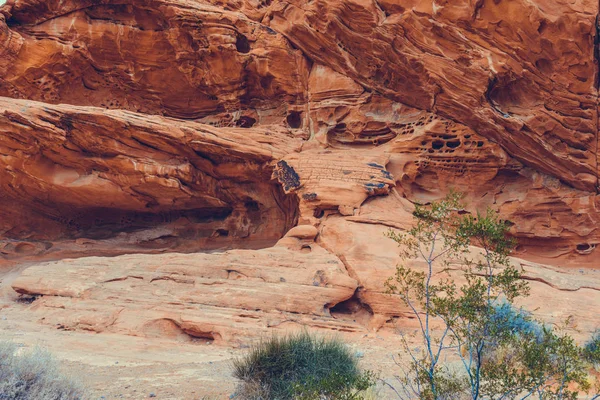 Park Stanowy Dolina Ognia Nevada Usa — Zdjęcie stockowe