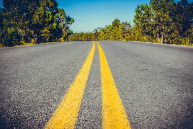 Ünlü milli parklar için bir yol gezisi sırasında Klasik Amerikan güneybatı yolu