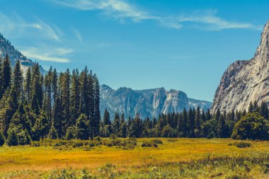 Yosemite Ulusal Parkı, Kaliforniya, ABD