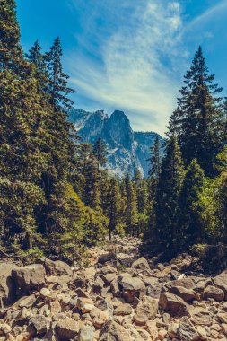Yosemite Ulusal Parkı, Kaliforniya, ABD