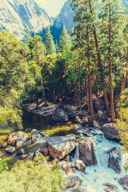 Yosemite Ulusal Parkı, Kaliforniya, ABD