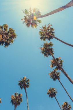 Santa Barbara, Kaliforniya'nın Pasifik kıyısında, Abd