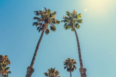Santa Barbara, Kaliforniya'nın Pasifik kıyısında, Abd