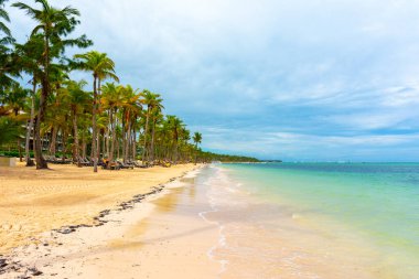 Karayip deniz manzarası, Bavaro plajı, Punta cana, Dominik Cumhuriyeti