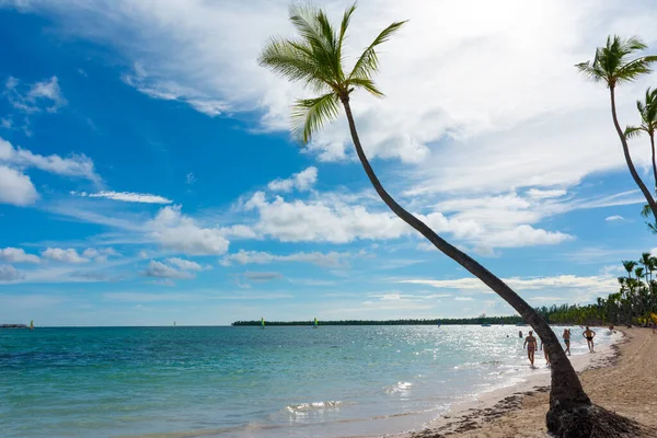 Bavaro Sahili Punta Cana Dominik Cumhuriyeti Kasım 2017 Barcelo Bavaro — Stok fotoğraf