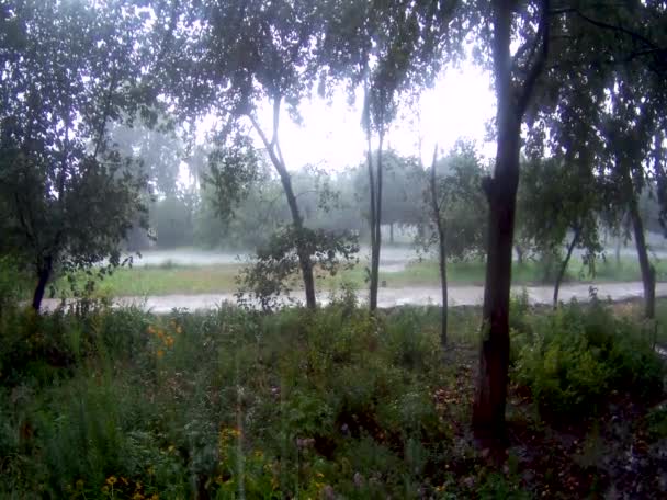 Zomerregen Auto Beweging Weg — Stockvideo