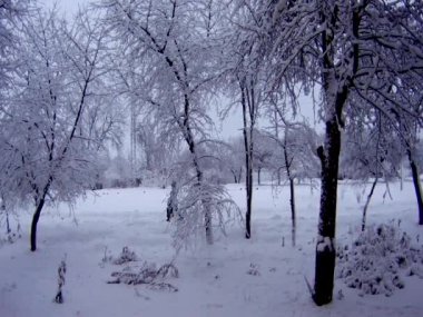 Yürüyen yayalar kışın