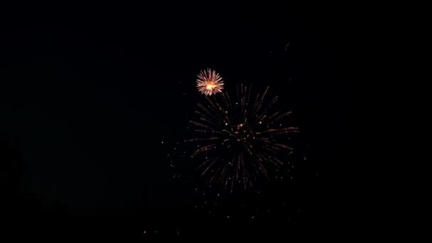 Feux d'artifice dans le ciel étoilé — Video