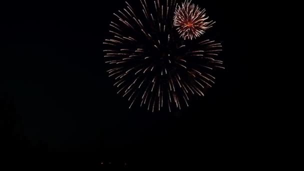 Festlig fyrverkerier i den mörka himlen — Stockvideo