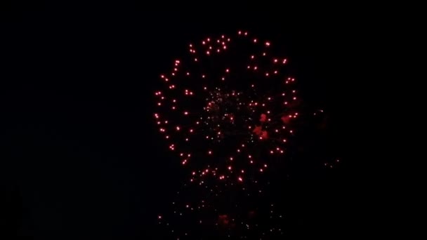 Fogos de artifício festivos no céu escuro — Vídeo de Stock