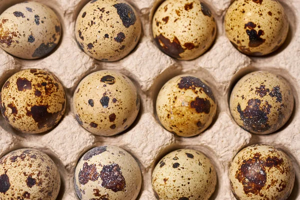 Quail Eggs Lattice Brown Wooden Background — Stock Photo, Image