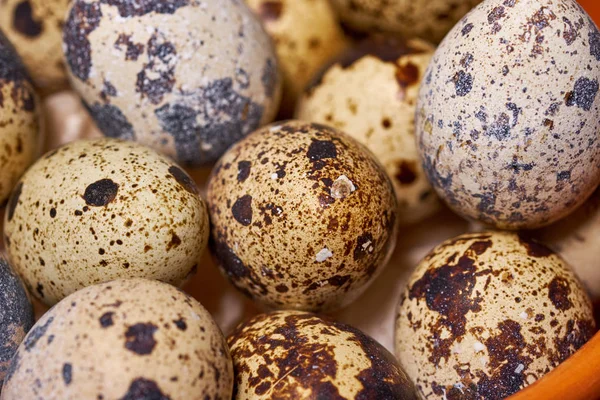 Quail eggs on brown wooden background. Selective focus — Stock Photo, Image