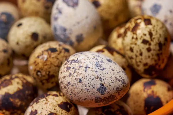 Quail eggs on brown wooden background. Selective focus — Stock Photo, Image